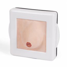 乳房検診トレーナー