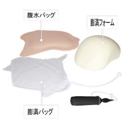腹部診察用 膨満セット