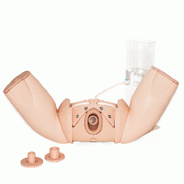 PROMPT Flex 子宮頸管縫縮術モジュール