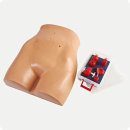 ストーマケアトルソ