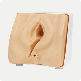 会陰縫合トレーナー